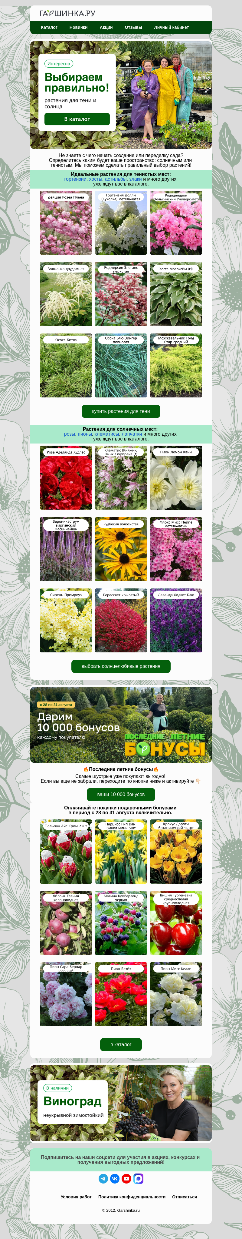 Письмо компании «Гаршинка.ру» на тему «👩‍🌾Выбираем правильно! Растения для тени и солнца💚»