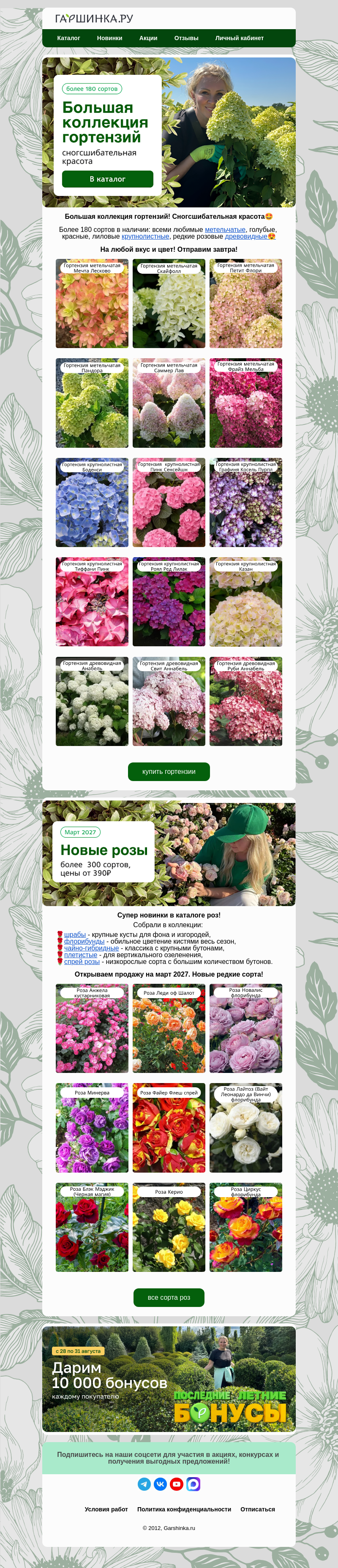 Письмо компании «Гаршинка.ру» на тему «💥Вскружим голову! Коллекция гортензий более 180 сортов!»