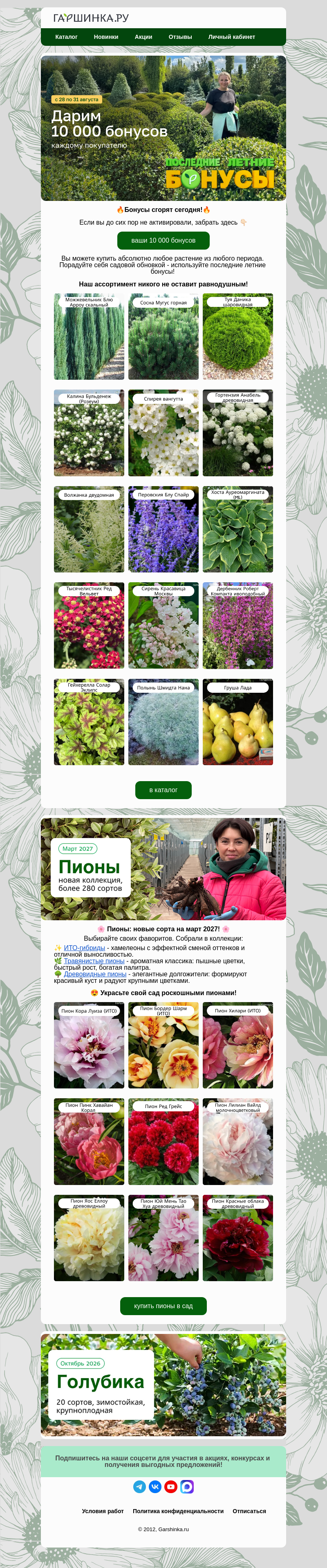 Письмо компании «Гаршинка.ру» на тему «🔥Бонусы сгорят сегодня! Успейте воспользоваться!🍃»