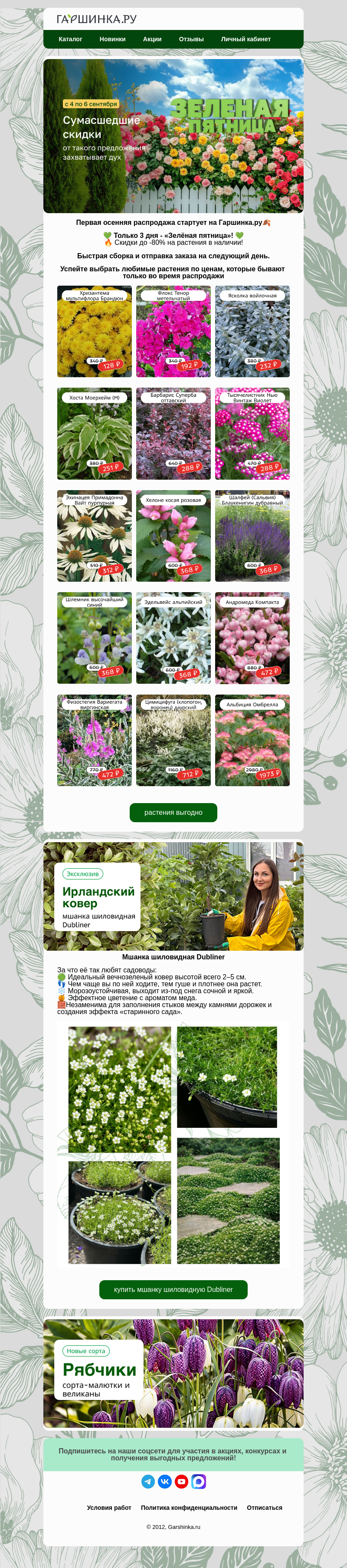 Письмо компании «Гаршинка.ру» на тему «🏁Стартуем! Первая осенняя распродажа🍁»