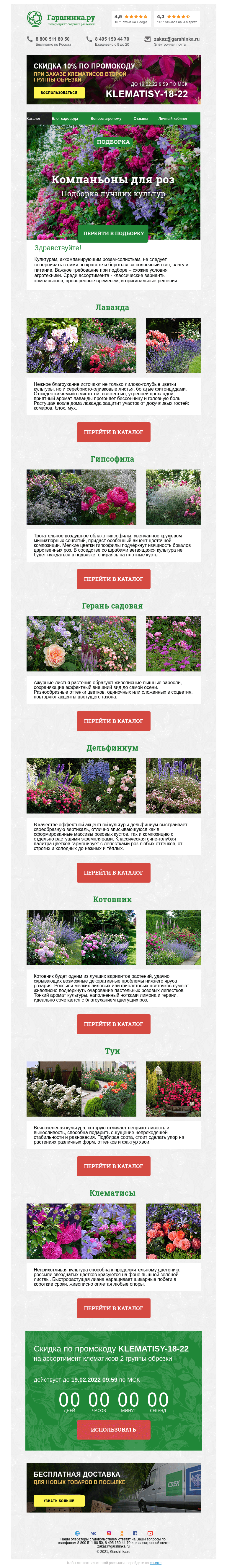 Письмо компании «Гаршинка.ру» на тему «🌸🌹🌿 Компаньоны для роз ⚡ Новый промокод внутри»