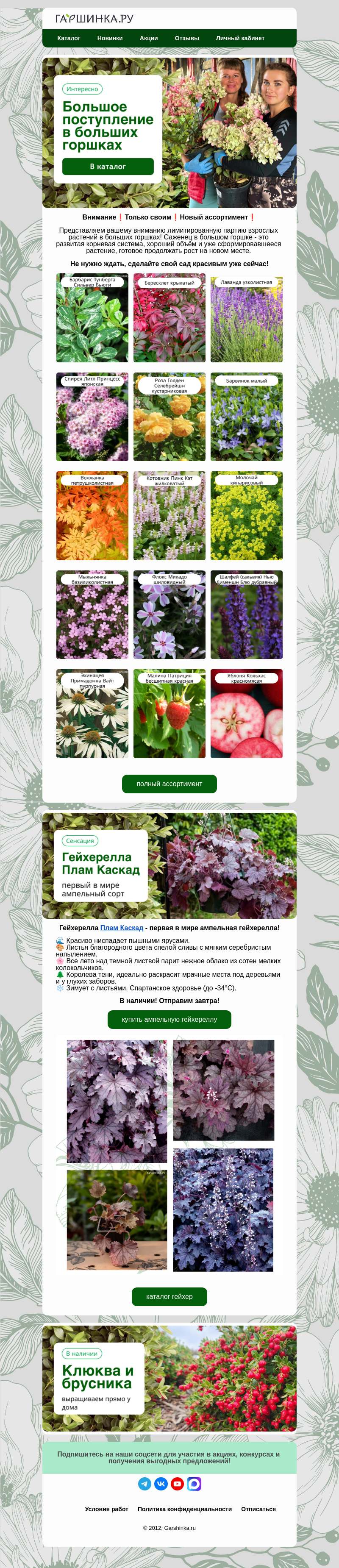 Письмо компании «Гаршинка.ру» на тему «😍Растения в больших горшках! Большое поступление!»