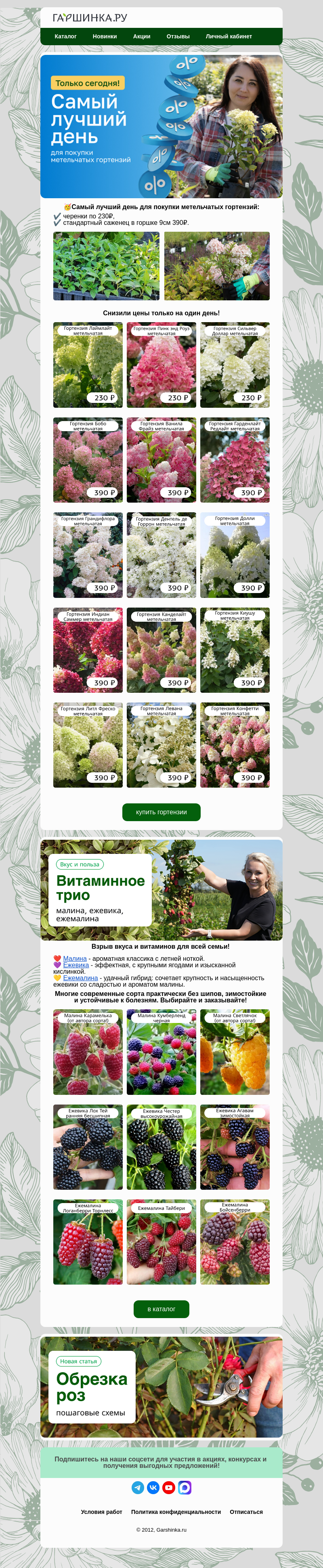 Письмо компании «Гаршинка.ру» на тему «🥳Только сегодня! Супер цены на гортензии!🔥»