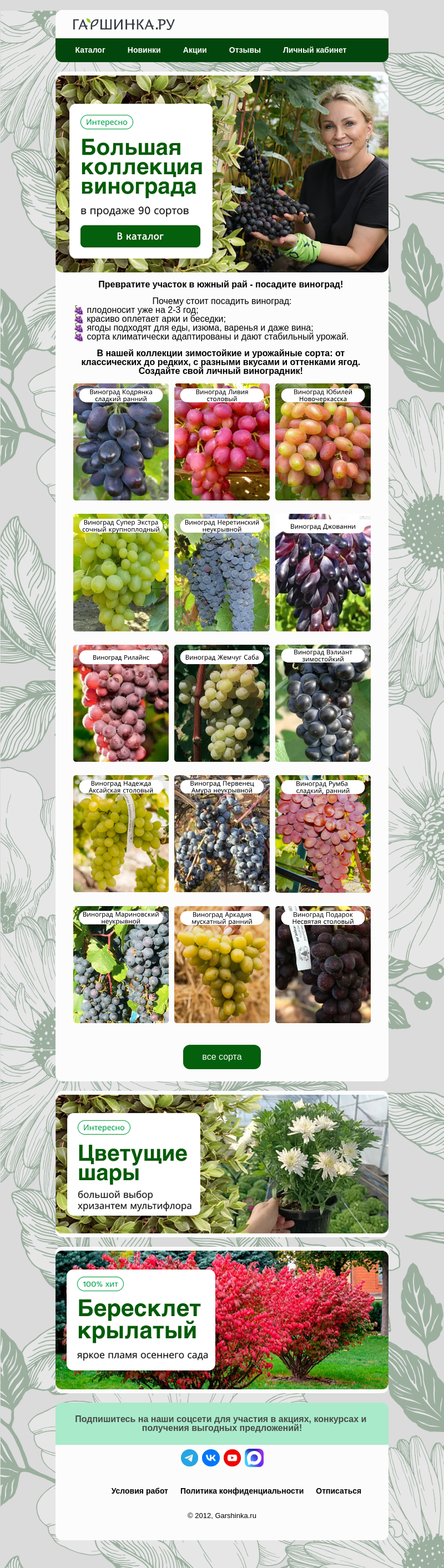 Письмо компании «Гаршинка.ру» на тему «🍇Коллекция винограда 90 сортов! На любой вкус, цвет и климат.»
