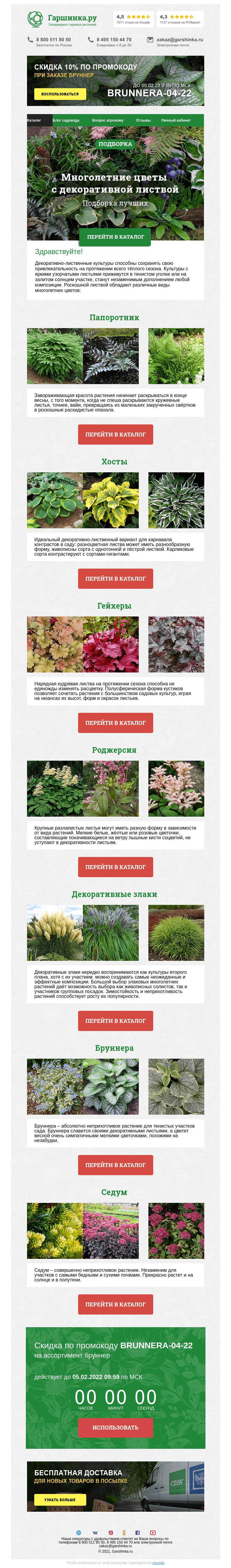 Письмо компании «Гаршинка.ру» на тему «🌿 Цветы с декоративной листвой ⚡ Новый промокод внутри»