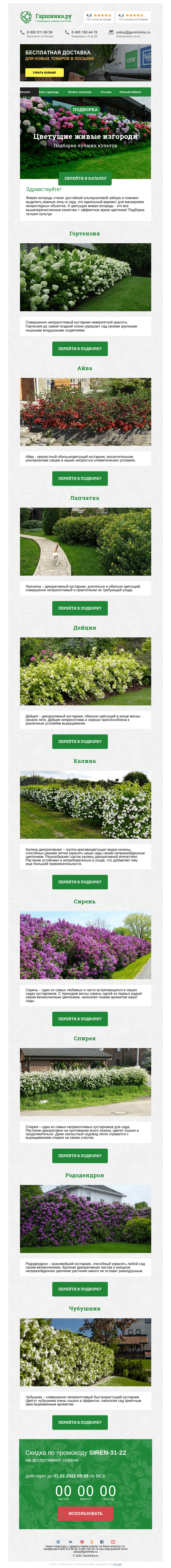 Письмо компании «Гаршинка.ру» на тему «🌸 Цветущие живые изгороди: подборка лучших культур»