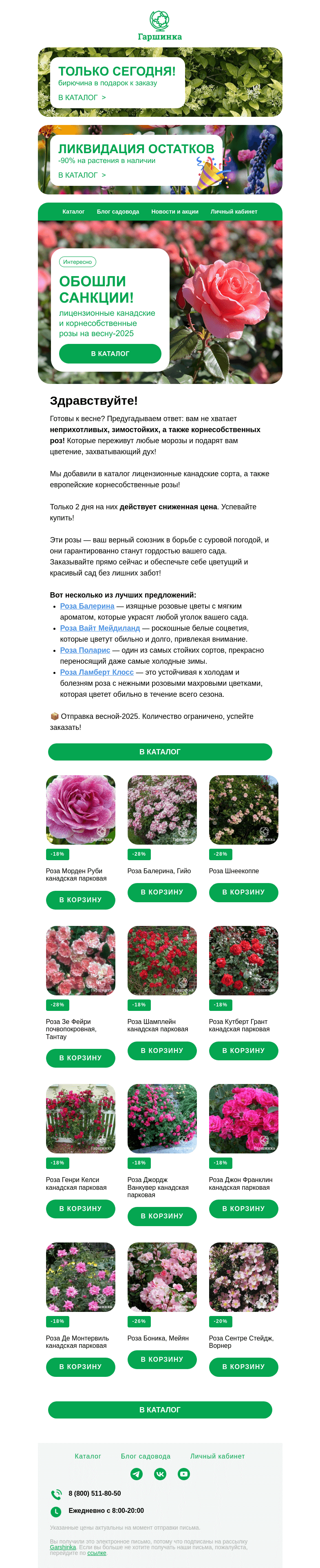 Письмо компании «Гаршинка.ру» на тему «🚫💪 Санкции обошли! Розы доставили! Доп. скидка на 48 часов. Корнесобственные и канадские розы на весну-2025!»