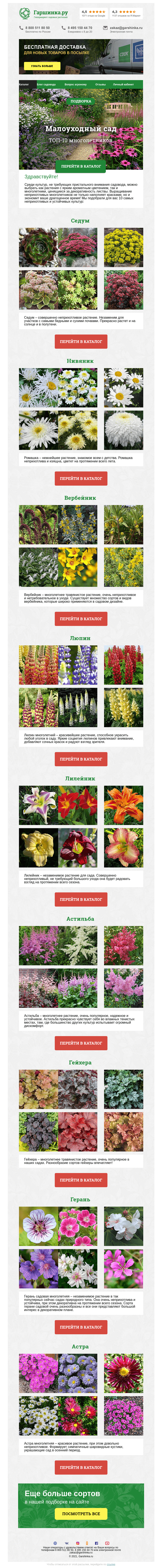 Письмо компании «Гаршинка.ру» на тему «🌸 ТОП-10 растений для малоуходного сада»