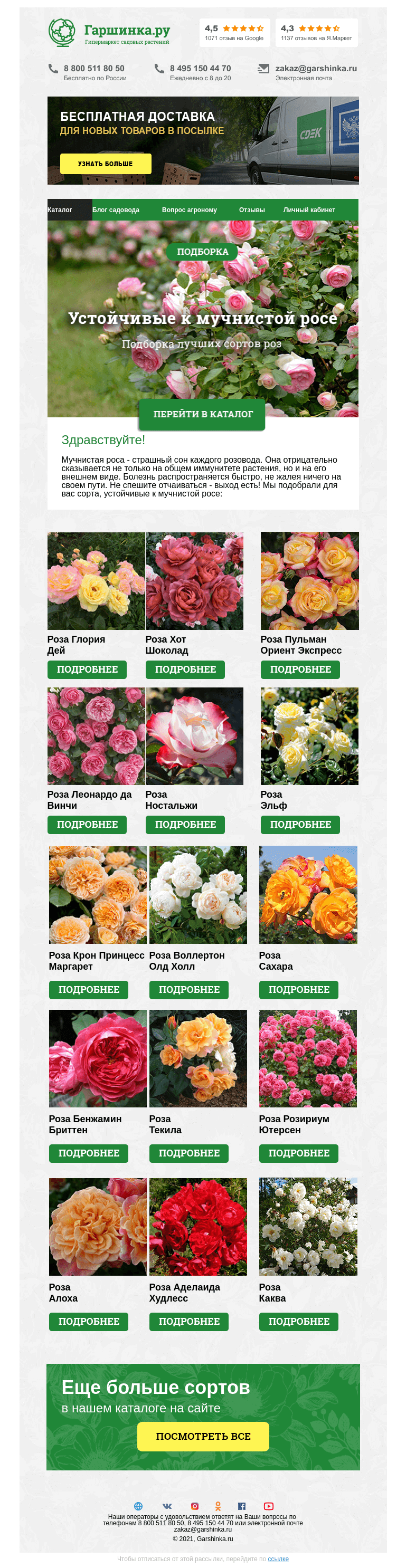Письмо компании «Гаршинка.ру» на тему «🌹 Устойчивые к мучнистой росе розы»