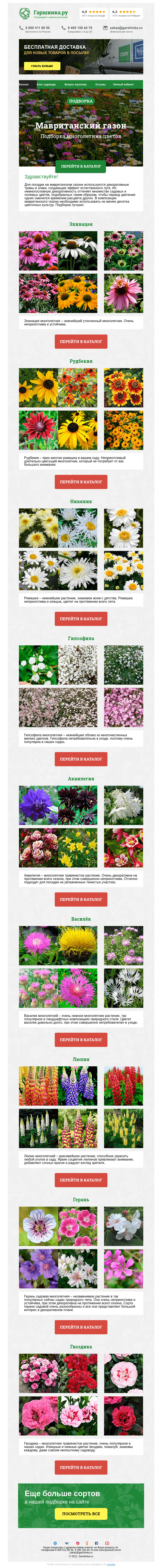 Письмо компании «Гаршинка.ру» на тему «🌸 Многолетние цветы для мавританского газона»