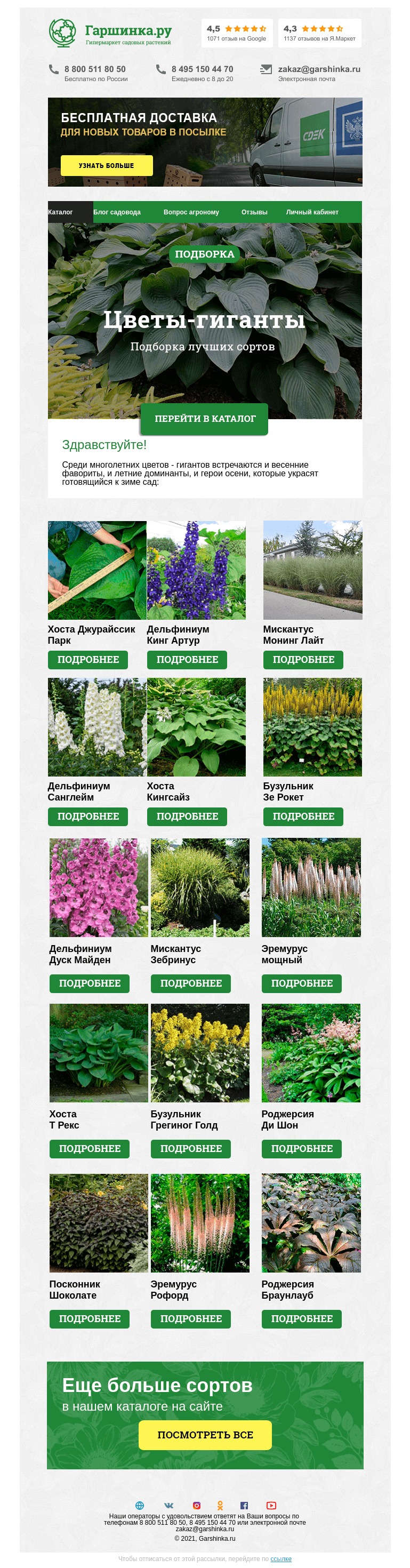 Письмо компании «Гаршинка.ру» на тему «🌱 Цветы-гиганты»