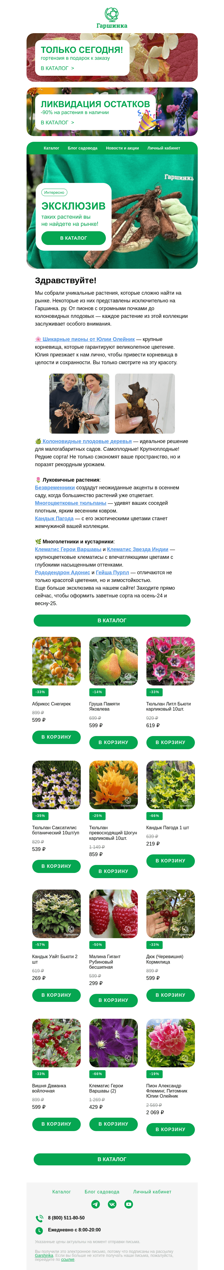 Письмо компании «Гаршинка.ру» на тему «🌷 Эксклюзивные коллекции: пионы Юлии Олейник, карликовые тюльпаны и др.»