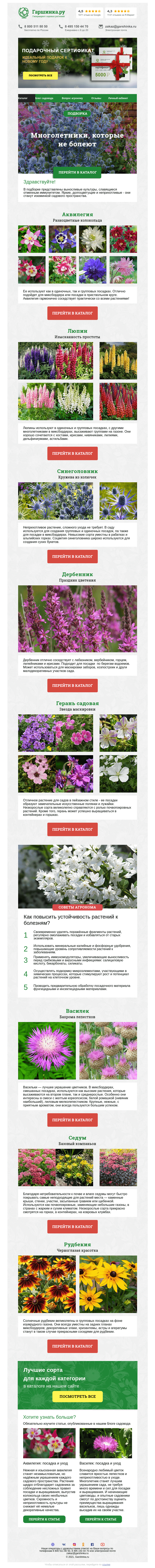 Письмо компании «Гаршинка.ру» на тему «🌱 Многолетники, которые не болеют»