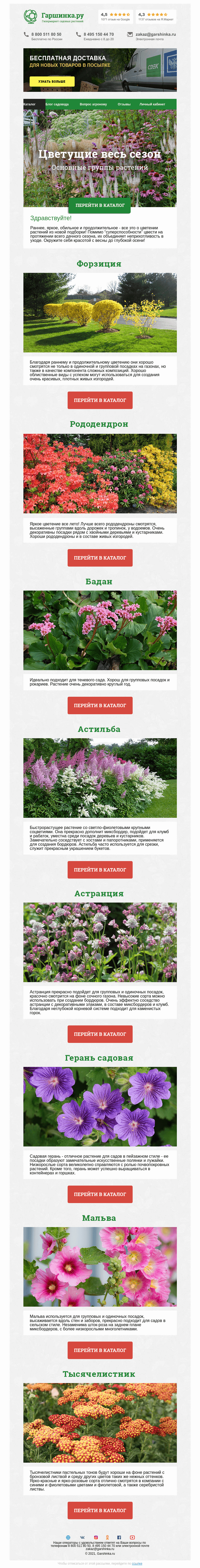 Письмо компании «Гаршинка.ру» на тему «🌸 Цветущие весь сезон»