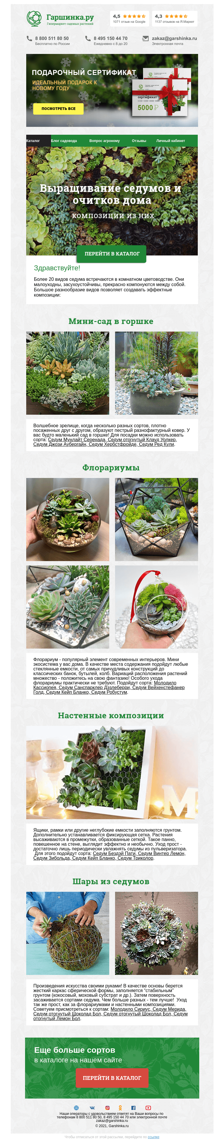 Письмо компании «Гаршинка.ру» на тему «🌱 Выращивание седумов и очитков дома, композиции из них»