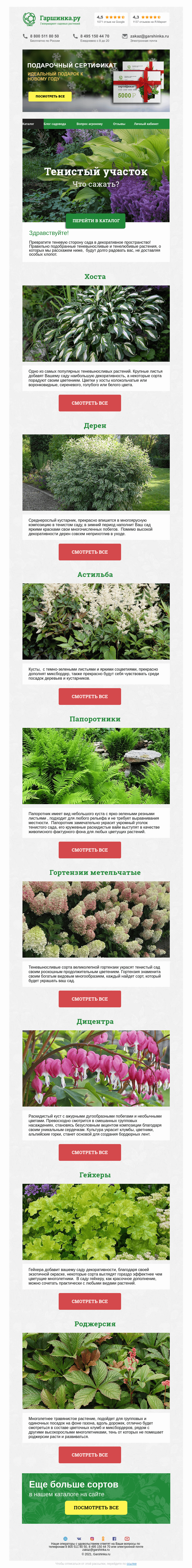 Письмо компании «Гаршинка.ру» на тему «🌿 Что сажать на тенистых участках?»