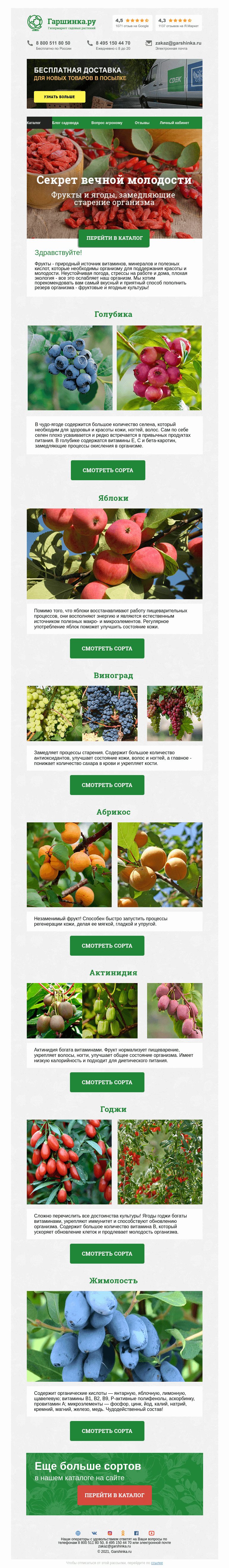 Письмо компании «Гаршинка.ру» на тему «🍇 Секрет вечной молодости»