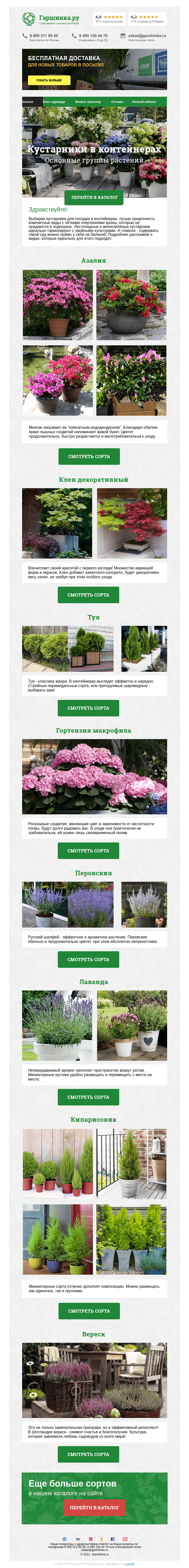 Письмо компании «Гаршинка.ру» на тему «🌳 Кустарники в контейнерах»