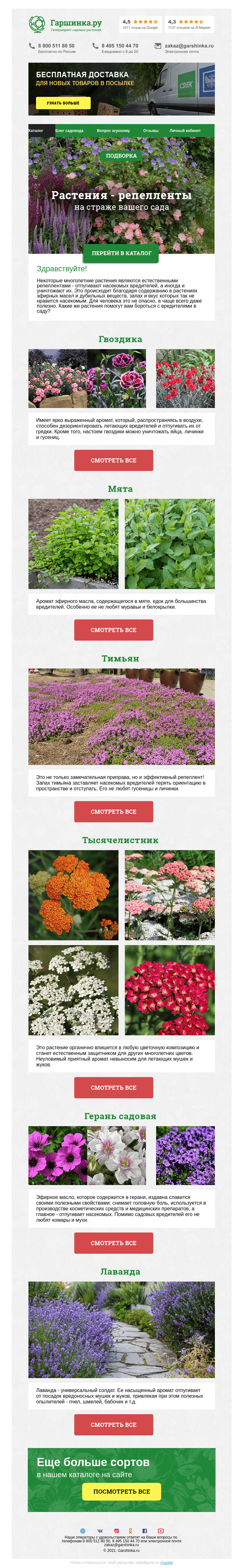 Письмо компании «Гаршинка.ру» на тему «🌿 Растения - репелленты»