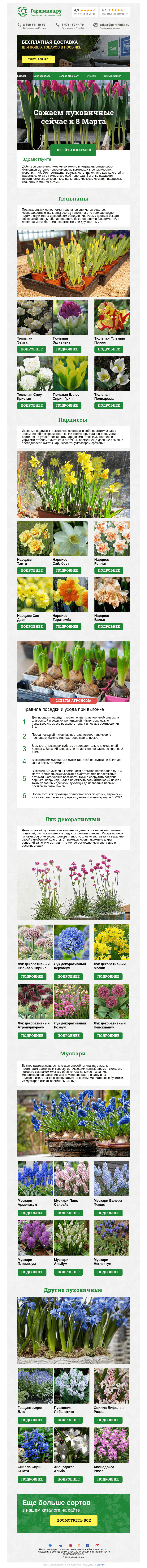 Письмо компании «Гаршинка.ру» на тему «💐 Сажаем сейчас к 8 Марта»