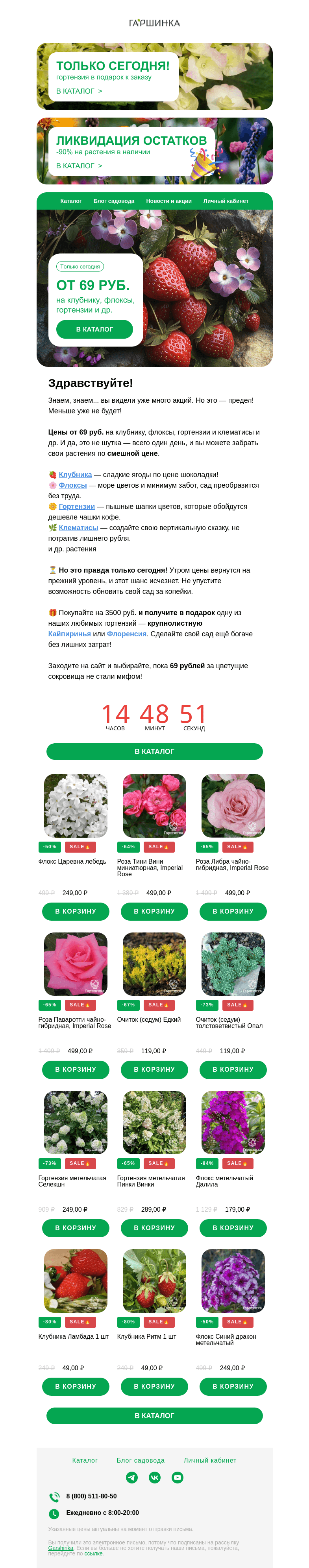 Письмо компании «Гаршинка.ру» на тему «🔥 Шок! Только сегодня — цены от 69 руб.»