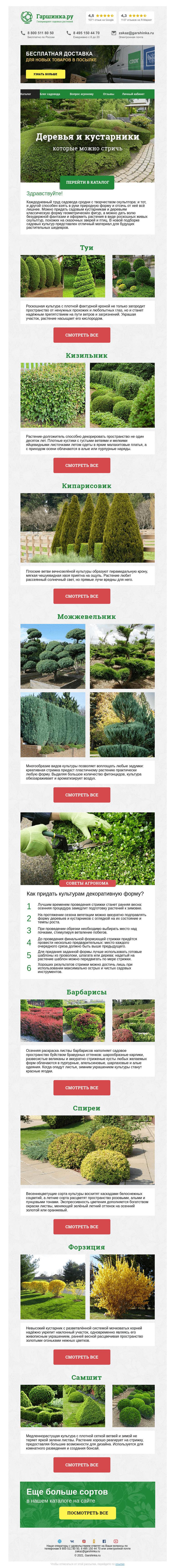 Письмо компании «Гаршинка.ру» на тему «🌳 Деревья и кустарники, которые можно стричь»