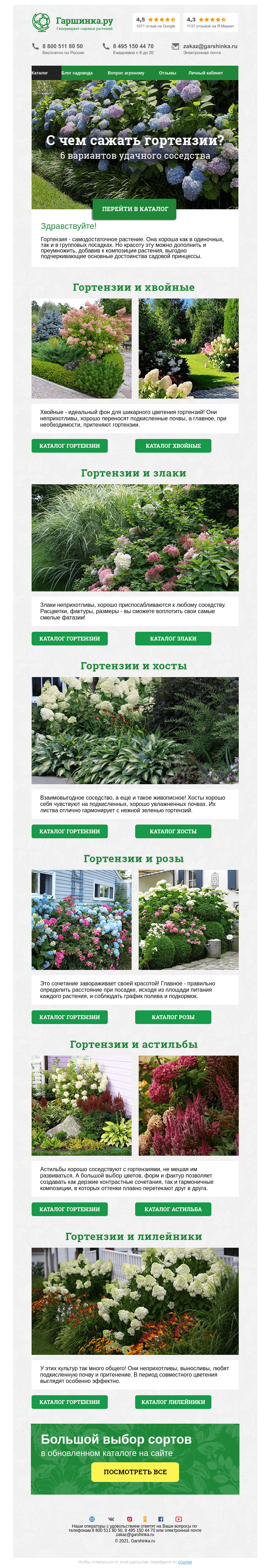 Письмо компании «Гаршинка.ру» на тему «🌸 С чем сажать гортензии?»