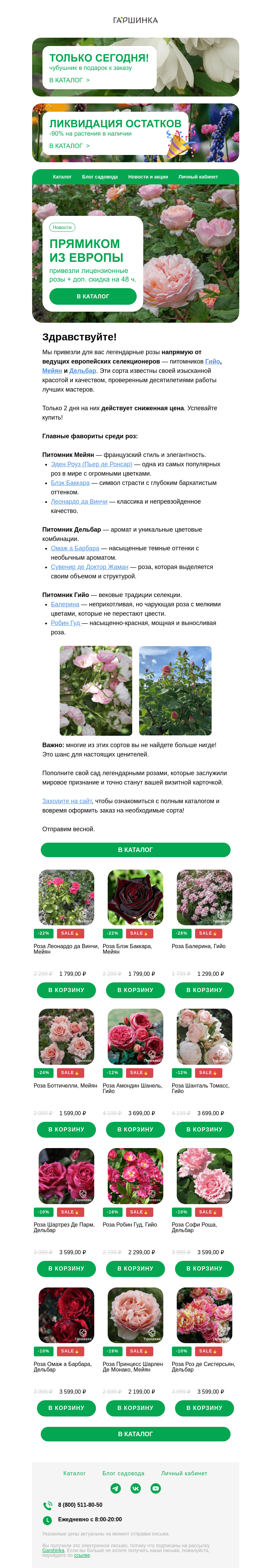 Письмо компании «Гаршинка.ру» на тему «🌹 Прямо из Европы: розы от Гийо, Мейян и Дельбар! Сниженные цены — только 2 дня!»