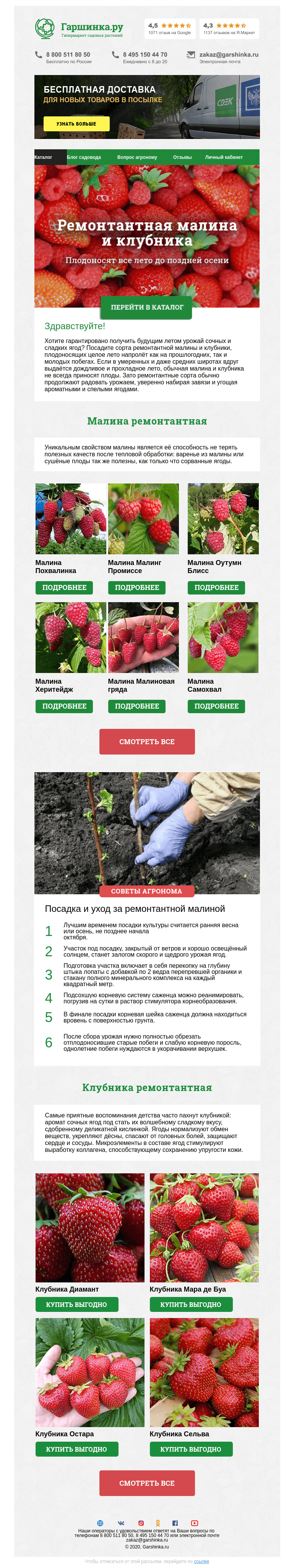 Письмо компании «Гаршинка.ру» на тему «🍓 Ремонтантная малина и клубника»