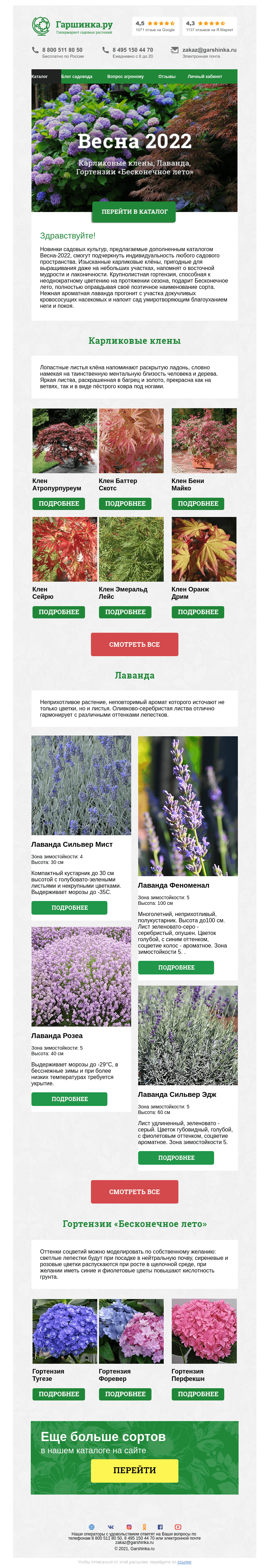 Письмо компании «Гаршинка.ру» на тему «🌸 Весна 2022: Карликовые клены, Гортензии "Бесконечное лето", Лаванда»