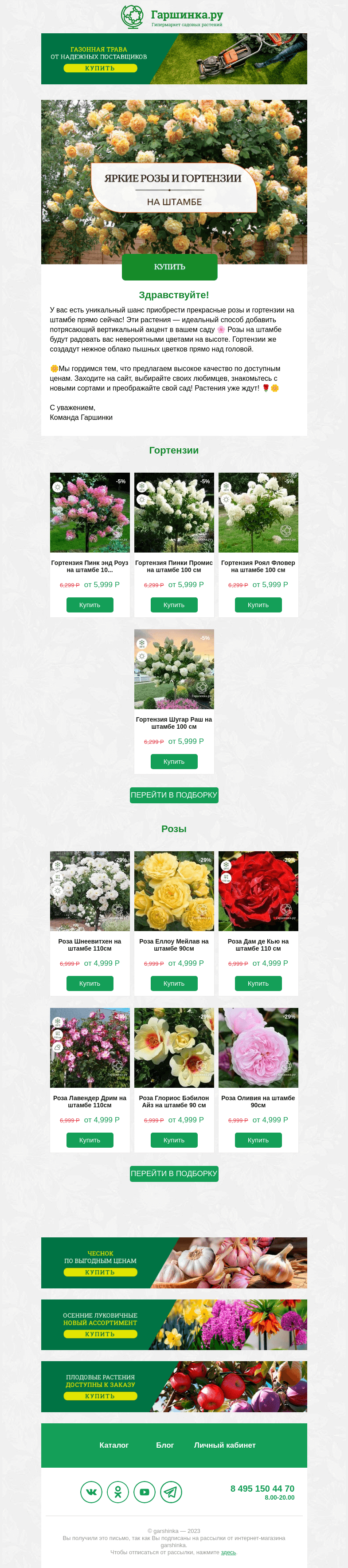 Письмо компании «Гаршинка.ру» на тему «🌹🌼 Яркие розы и гортензии на штамбе ждут вас!»
