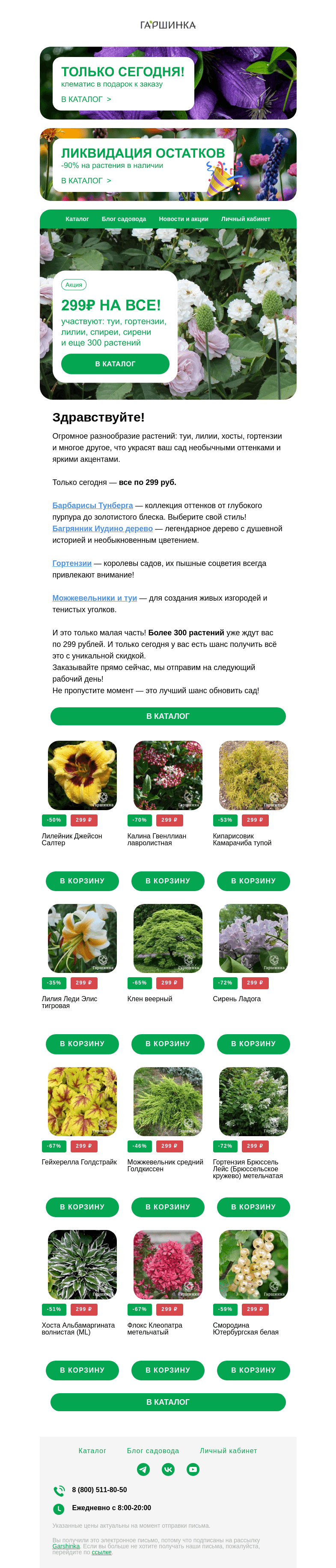 Письмо компании «Гаршинка.ру» на тему «🌿 Только 24 часа — 299 руб. НА ВСЕ! Лилии, туи, барбарисы и др.»