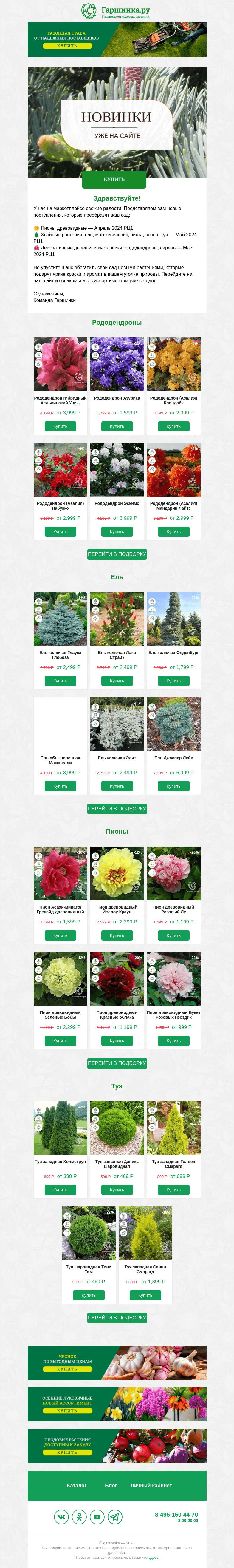 Письмо компании «Гаршинка.ру» на тему «🌸 Новые поступления на сайте!»