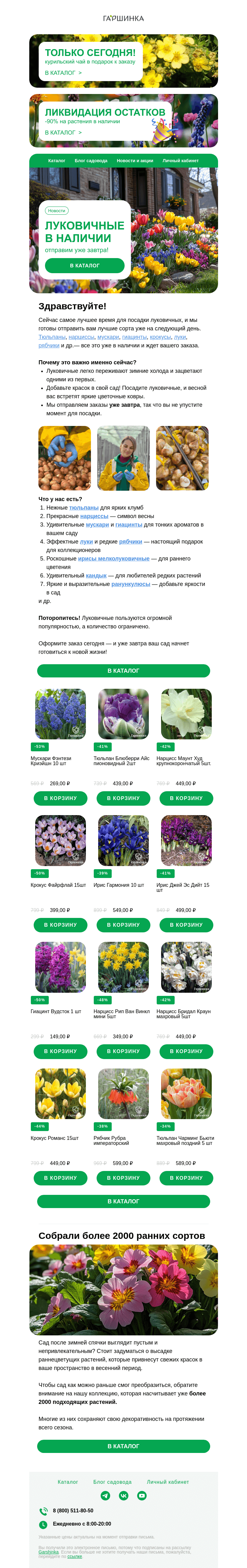 Письмо компании «Гаршинка.ру» на тему «🌷🌼 Луковичные в наличии! Отправим уже завтра!»