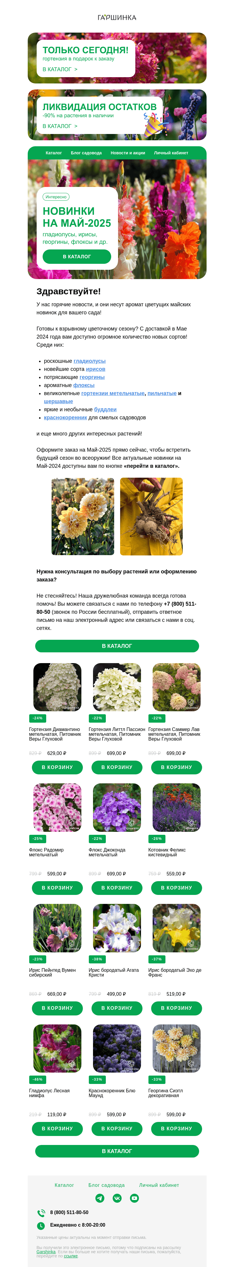 Письмо компании «Гаршинка.ру» на тему «🌸 Взрывные новинки на МАЙ-2025: гладиолусы, ирисы, георгины и многое другое!»