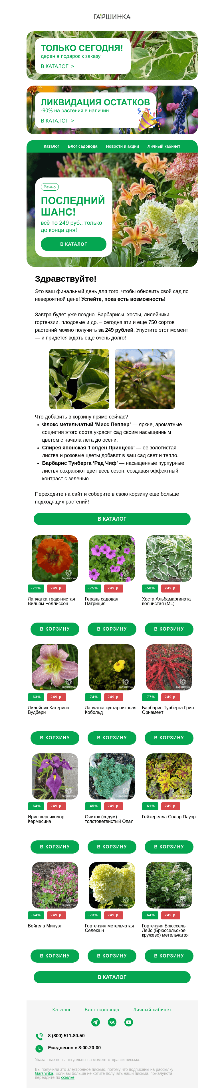 Письмо компании «Гаршинка.ру» на тему «⚡ Последний шанс! Всё по 249 руб. до конца дня!»