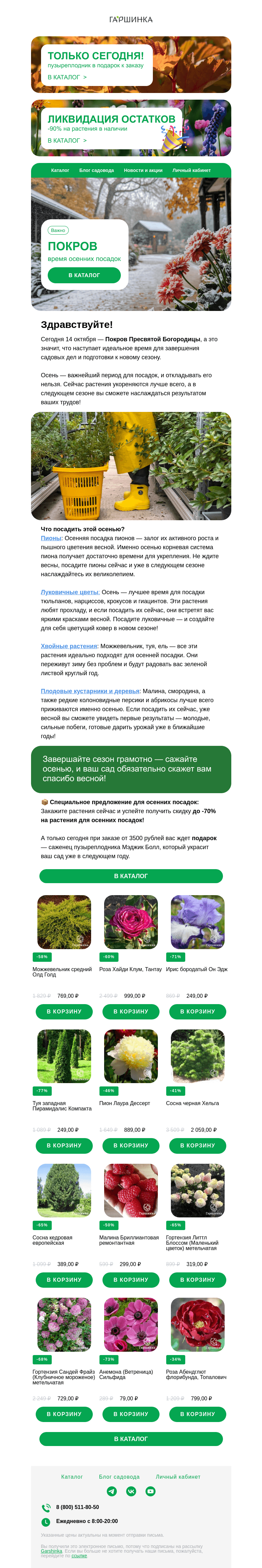 Письмо компании «Гаршинка.ру» на тему «🍁❄️ Покров Пресвятой Богородицы: время осенних посадок»