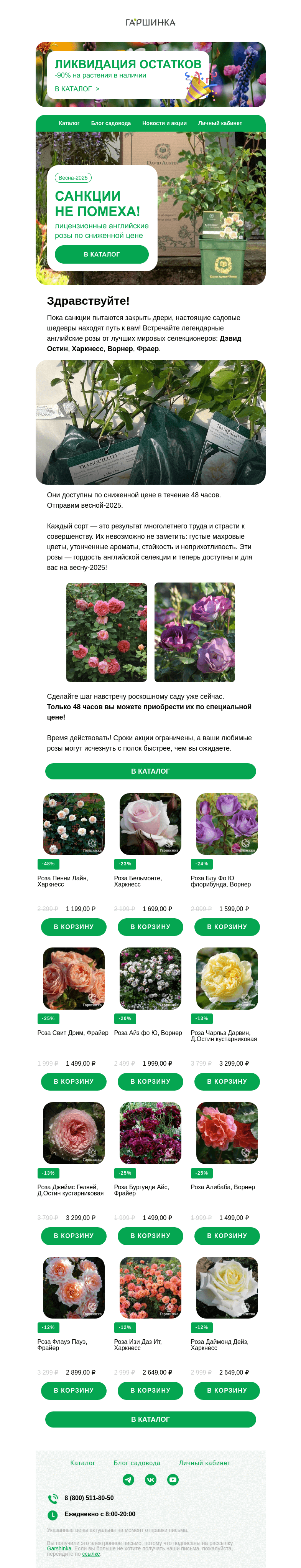 Письмо компании «Гаршинка.ру» на тему «🌹 Розы из Англии: прорвались через все границы!»