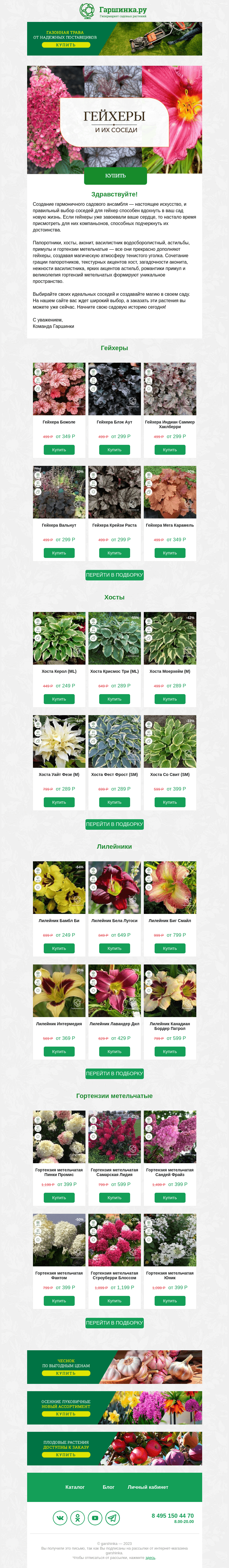 Письмо компании «Гаршинка.ру» на тему «🌿🌸 Гейхеры и их идеальные соседи 🌿🌸»