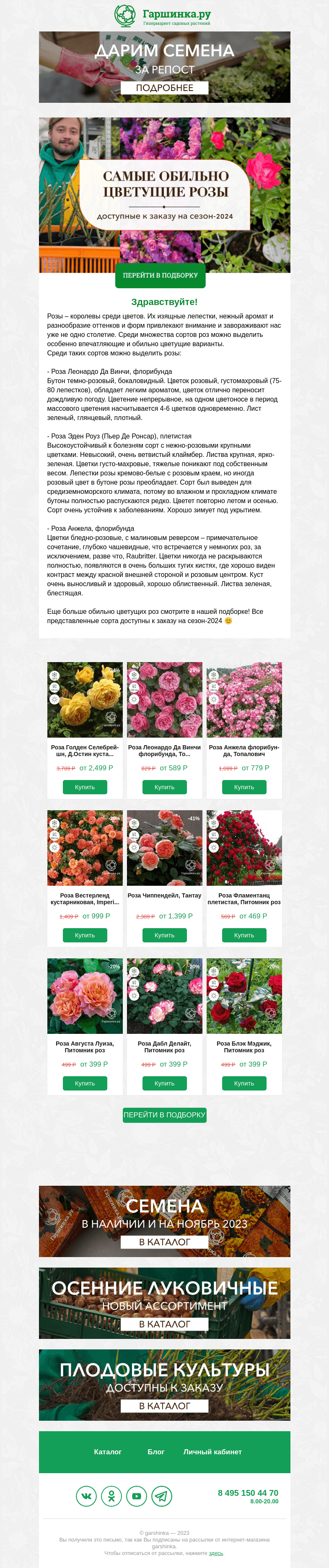 Письмо компании «Гаршинка.ру» на тему «🌹 Обильно цветущие сорта роз: Леонардо Да Винчи, Эден Роуз и другие!»