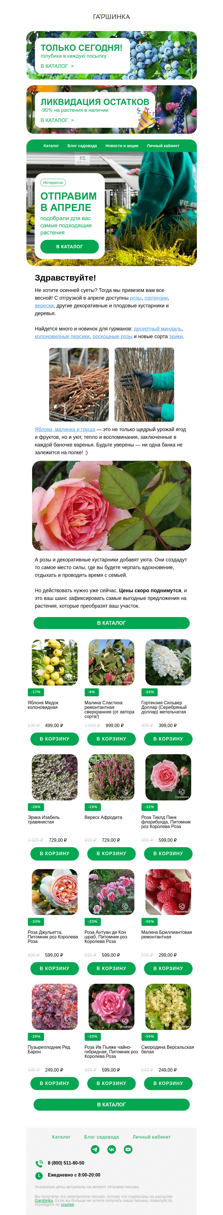 Письмо компании «Гаршинка.ру» на тему «🌿 Отправим в апреле: розы, гортензии, плодовые, верески и др.»
