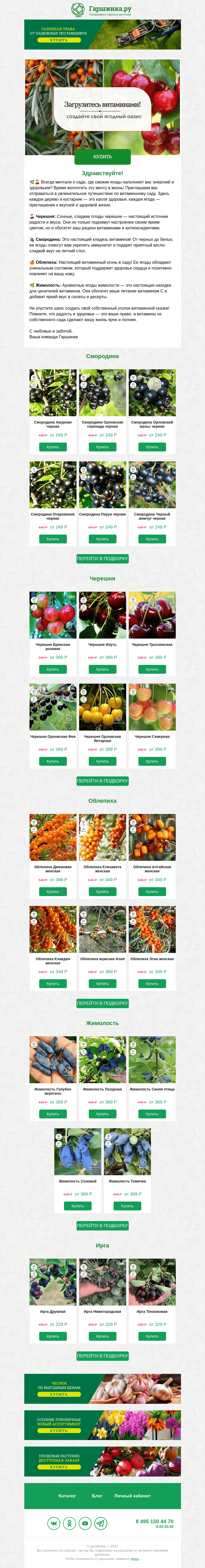 Письмо компании «Гаршинка.ру» на тему «🍇🍊 Загрузитесь витаминами! Создайте свой ягодный оазис 👉»