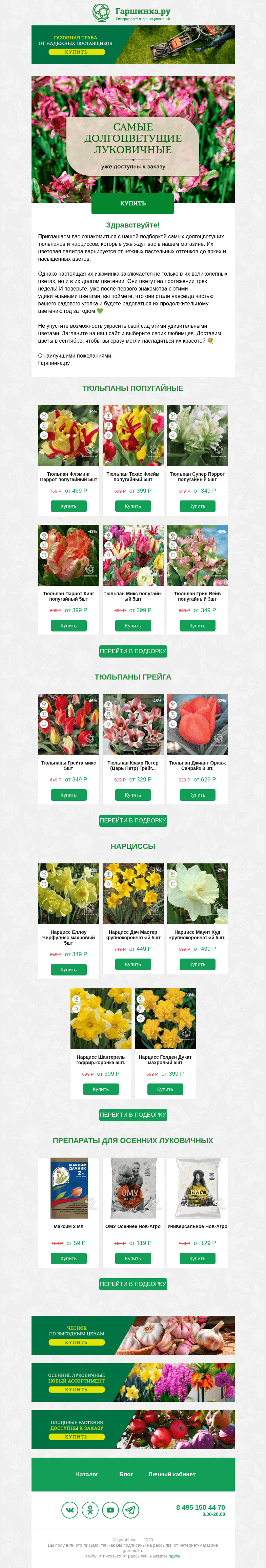Письмо компании «Гаршинка.ру» на тему «🌷 «Вечное» цветение: цветы, которые будут цвести долго! 🌼»