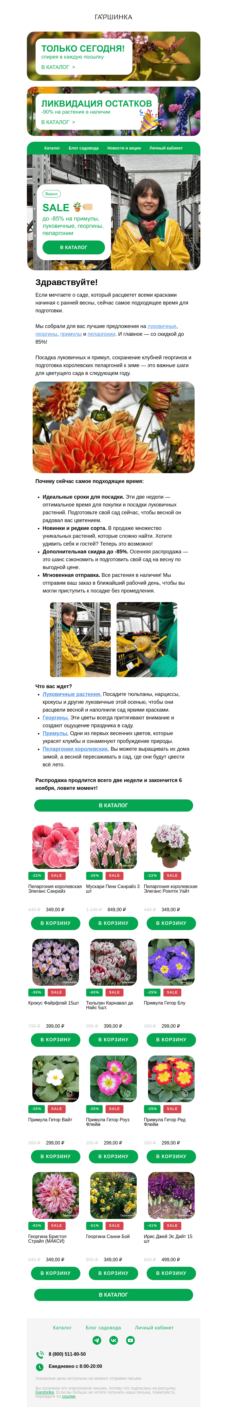 Письмо компании «Гаршинка.ру» на тему «🪴🏷 SALE!  До -85% на луковичные, примулы, георгины и пеларгонии»