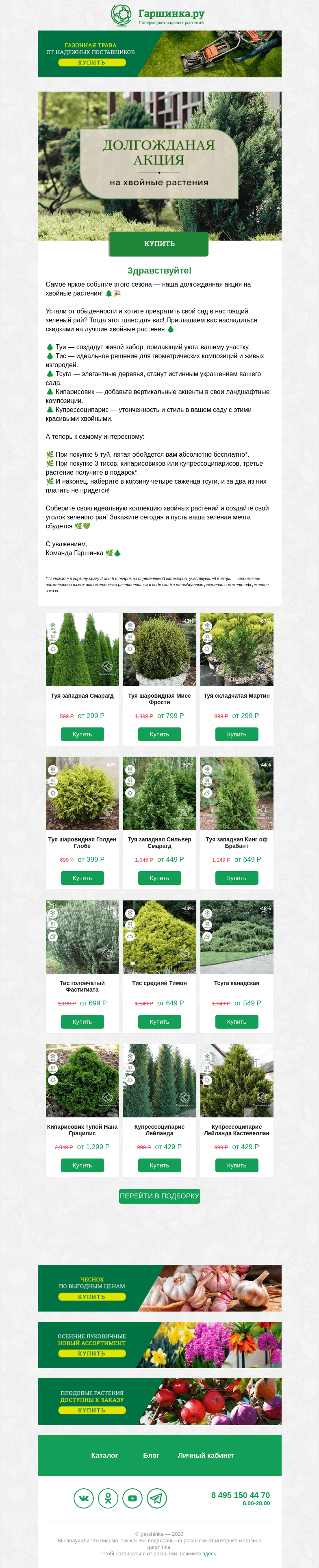 Письмо компании «Гаршинка.ру» на тему «🌿🌲 Зеленый рай с хвойными скидками! 🌲🌿»