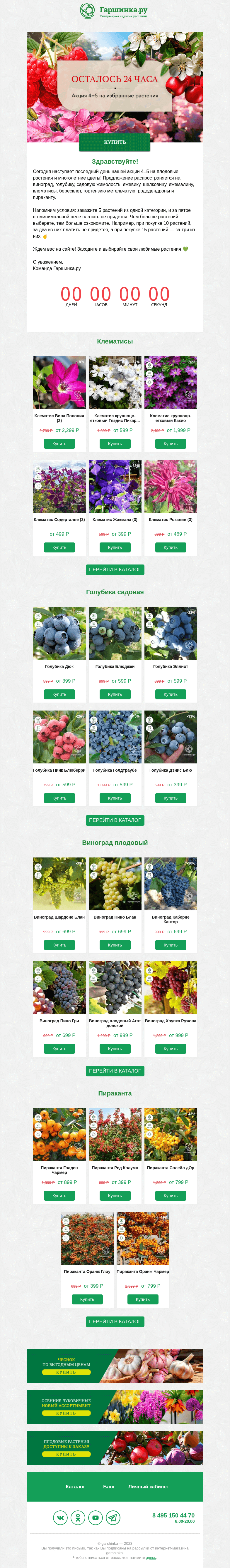 Письмо компании «Гаршинка.ру» на тему «💁 Любимые растения ждут! Последний день акции 4=5 на плодовые и цветы 👉»