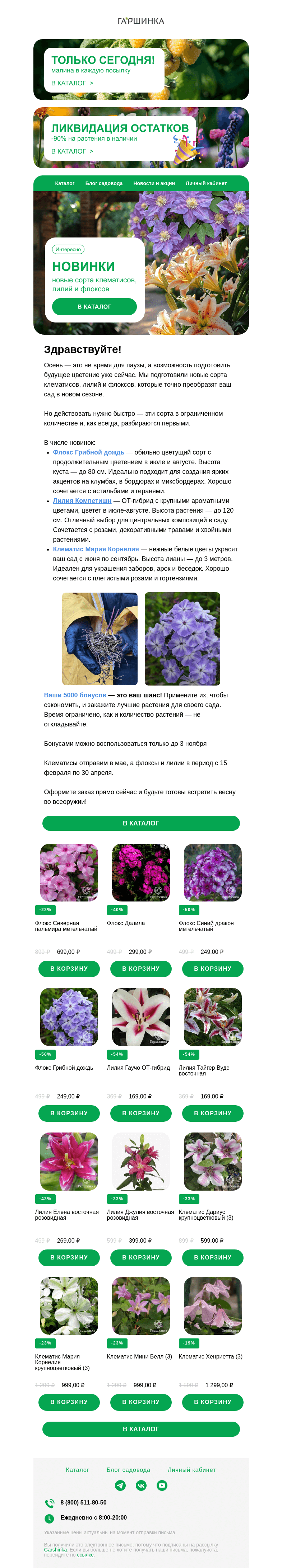 Письмо компании «Гаршинка.ру» на тему «🌼✨ Новые сорта клематисов, лилий и флоксов на весну-2025»