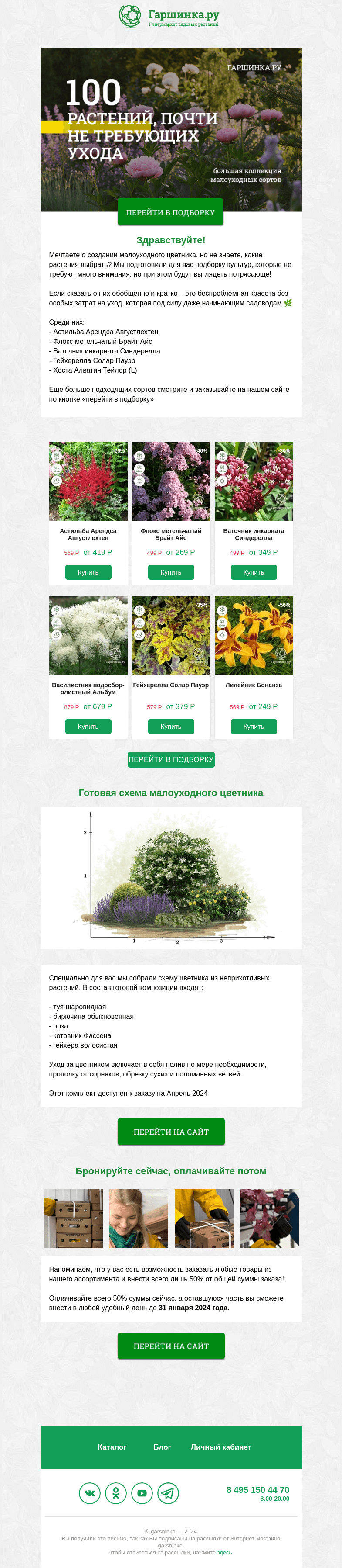 Письмо компании «Гаршинка.ру» на тему «🌿100 растений, которые практически не требуют ухода в саду»