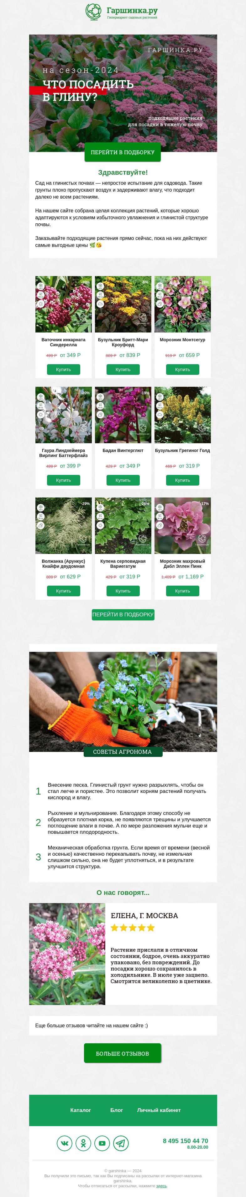 Письмо компании «Гаршинка.ру» на тему «🌿💫 Что посадить в глину? Подобрали растения для тяжелых почв»