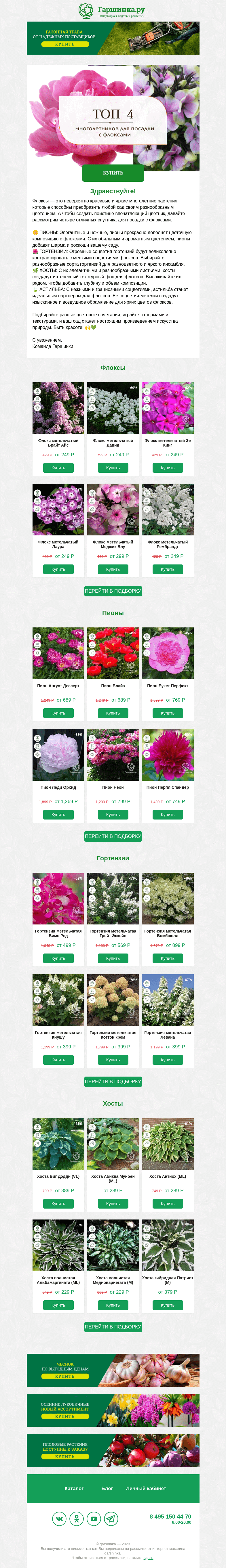 Письмо компании «Гаршинка.ру» на тему «🌸 ТОП-4 многолетника для посадки с флоксами 🌸»